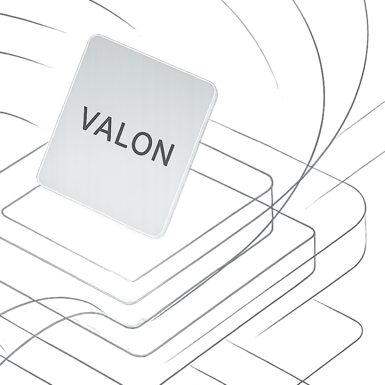 Chasing Complexity: My Path to BizOps and Why I Landed at Valon