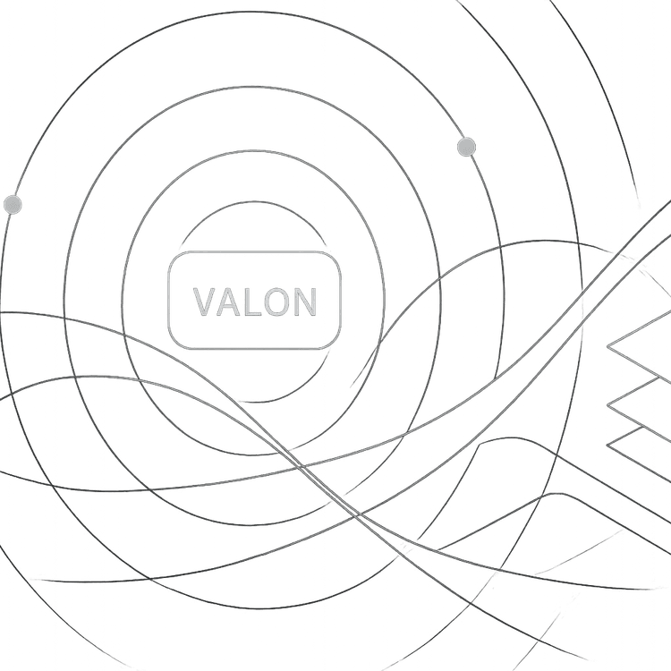 Valon’s 2022 in Review
